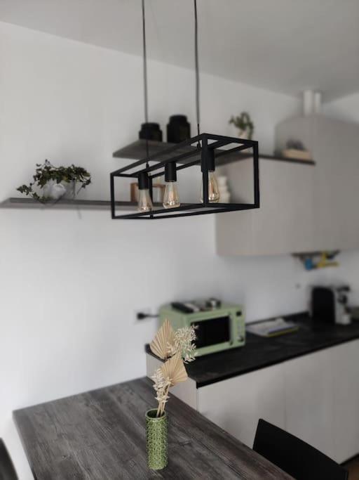 Casa Camelia - Appartamento In Centro A 세레뇨 외부 사진